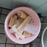 春はタケノコ採取